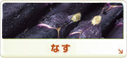 Ȃ